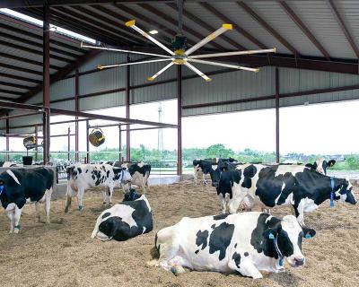 Вентилятор HVLS